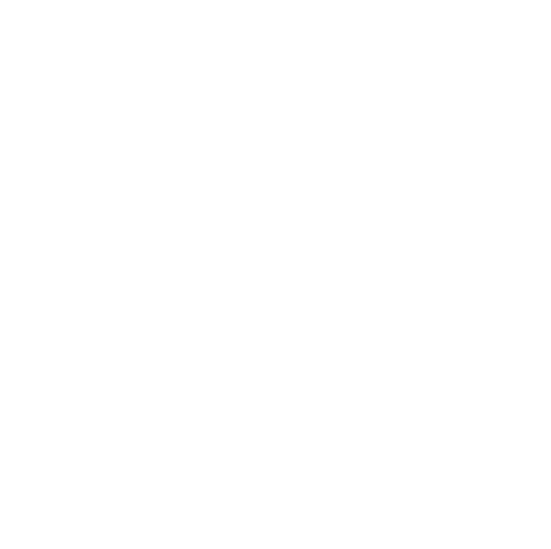 Muonic Systems